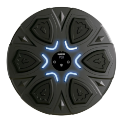 Estación Interactiva de Boxeo Digital Bluetooth