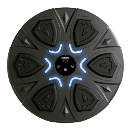 Estación Interactiva de Boxeo Digital Bluetooth